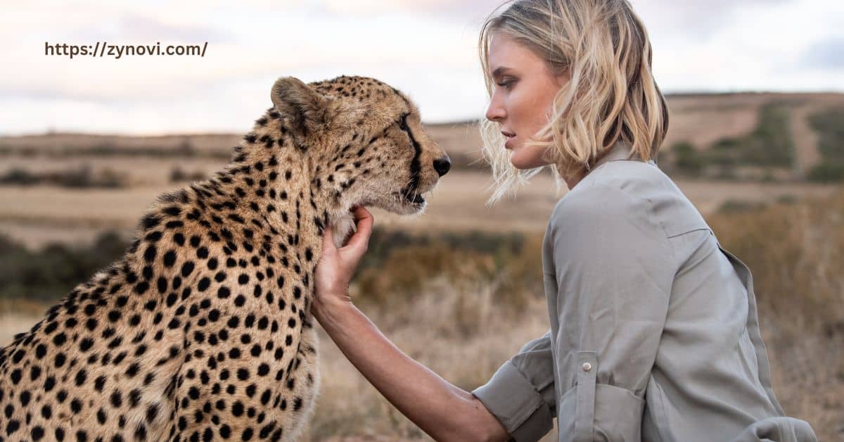 Has a human been attacked by a cheetah?